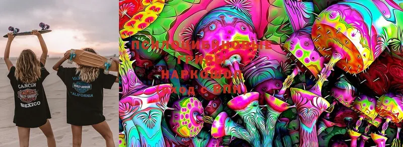 Галлюциногенные грибы MAGIC MUSHROOMS  Александровск-Сахалинский 